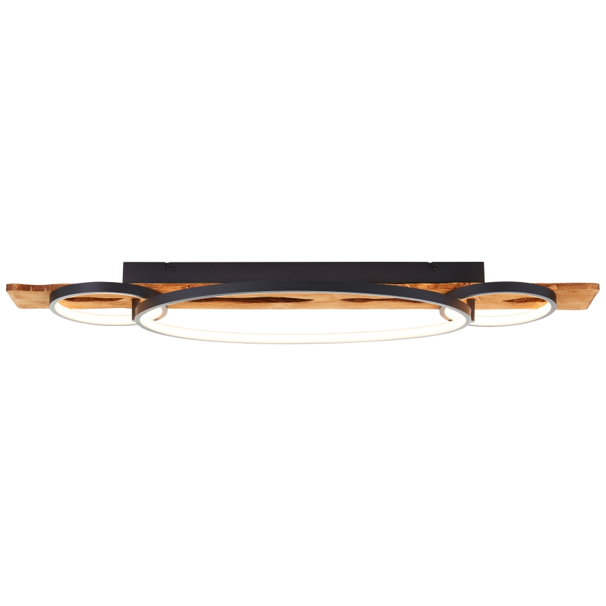 Brilliant - Plafonieră LED dimabilă PIRUS LED/40W/230V 30x90 cm ficus