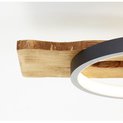 Brilliant - Plafonieră LED dimabilă PIRUS LED/40W/230V 30x90 cm ficus