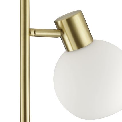 Brilliant - Lampă de podea CONY 1xE14/20W/230V alamă