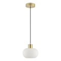 Brilliant - Lustră suspendată pe cablu FANNY 1xE27/20W/230V, Ø 22 cm, alamă
