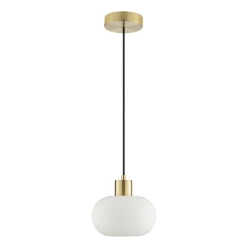 Brilliant - Lustră suspendată pe cablu FANNY 1xE27/20W/230V, Ø 22 cm, alamă