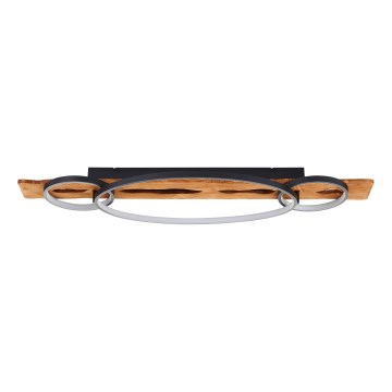 Brilliant - Plafonieră LED dimabilă PIRUS LED/40W/230V 30x90 cm ficus