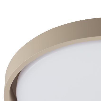 Brilliant - Plafonieră LED dimabilă SANOZ LED/24W/230V 3000-6500K diam. 41 cm bej + telecomandă