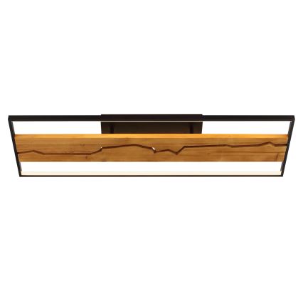 Brilliant - Plafonieră LED cu dimmer THUNDER LED/42W/230V, finisaj pin