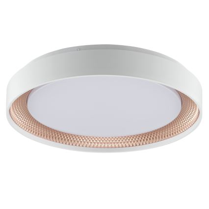 Brilliant - Plafonieră LED reglabilă WALDO LED/24W/230V 3000-6500K Ø 38,5 cm alb/aur roz + telecomandă