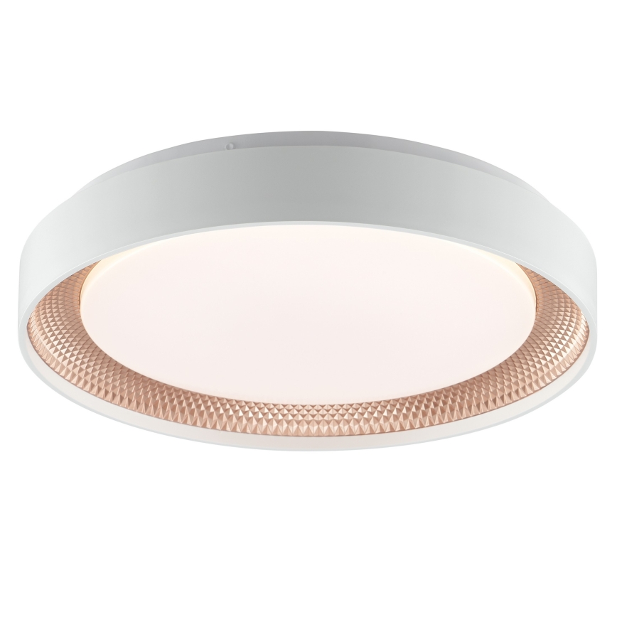 Brilliant - Plafonieră LED reglabilă WALDO LED/24W/230V 3000-6500K Ø 38,5 cm alb/aur roz + telecomandă