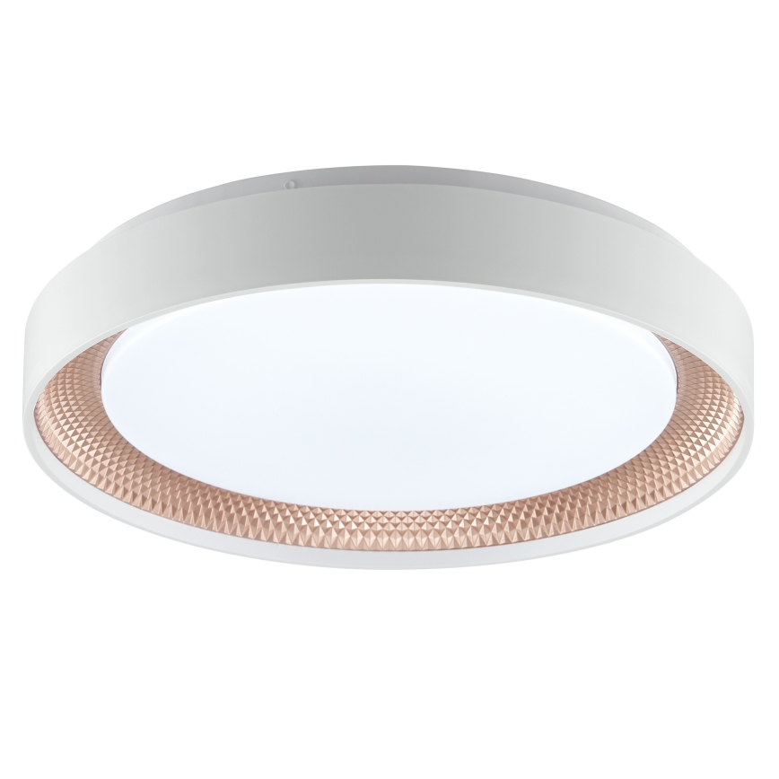 Brilliant - Plafonieră LED reglabilă WALDO LED/24W/230V 3000-6500K Ø 38,5 cm alb/aur roz + telecomandă