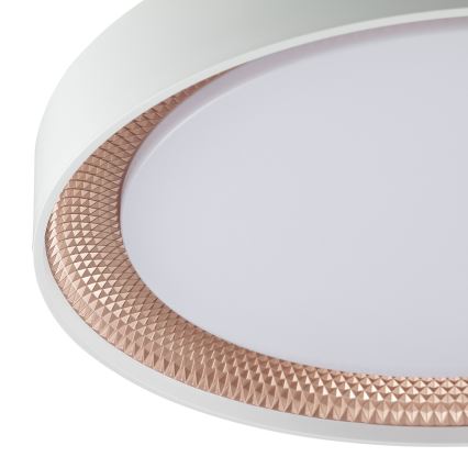 Brilliant - Plafonieră LED reglabilă WALDO LED/24W/230V 3000-6500K Ø 38,5 cm alb/aur roz + telecomandă