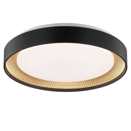 Brilliant - Plafonieră LED dimabilă WALDO LED/24W/230V 3000-6500K Ø 38,5 cm negru/auriu + telecomandă