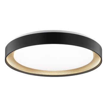 Brilliant - Plafonieră LED dimabilă WALDO LED/36W/230V 3000-6500K Ø 48,5 cm negru/auriu + telecomandă inclusă
