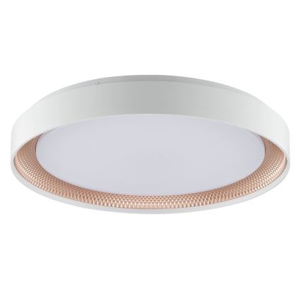 Brilliant - Plafonieră LED reglabilă WALDO LED/36W/230V 3000-6500K Ø 48,5 cm albă/aur roz + telecomandă