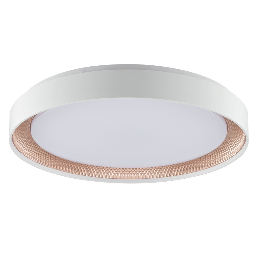 Brilliant - Plafonieră LED reglabilă WALDO LED/36W/230V 3000-6500K Ø 48,5 cm albă/aur roz + telecomandă