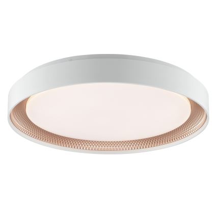 Brilliant - Plafonieră LED reglabilă WALDO LED/36W/230V 3000-6500K Ø 48,5 cm albă/aur roz + telecomandă