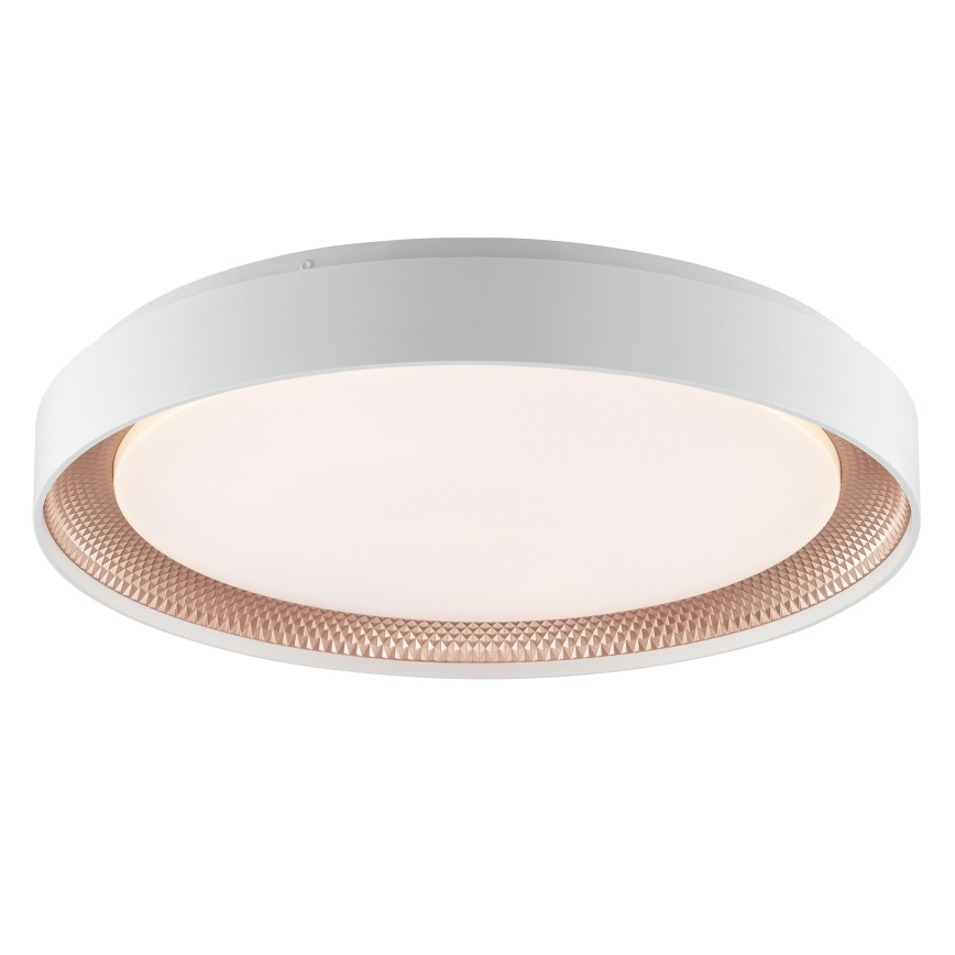 Brilliant - Plafonieră LED reglabilă WALDO LED/36W/230V 3000-6500K Ø 48,5 cm albă/aur roz + telecomandă