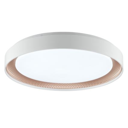 Brilliant - Plafonieră LED reglabilă WALDO LED/36W/230V 3000-6500K Ø 48,5 cm albă/aur roz + telecomandă