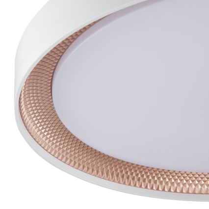 Brilliant - Plafonieră LED reglabilă WALDO LED/36W/230V 3000-6500K Ø 48,5 cm albă/aur roz + telecomandă