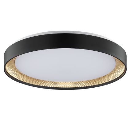 Brilliant - Plafonieră LED dimabilă WALDO LED/36W/230V 3000-6500K Ø 48,5 cm negru/auriu + telecomandă inclusă