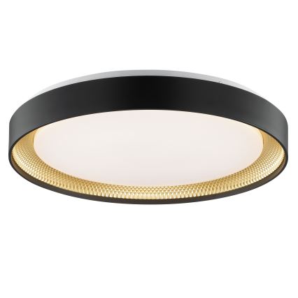 Brilliant - Plafonieră LED dimabilă WALDO LED/36W/230V 3000-6500K Ø 48,5 cm negru/auriu + telecomandă inclusă