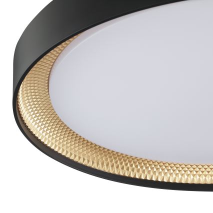 Brilliant - Plafonieră LED dimabilă WALDO LED/36W/230V 3000-6500K Ø 48,5 cm negru/auriu + telecomandă inclusă