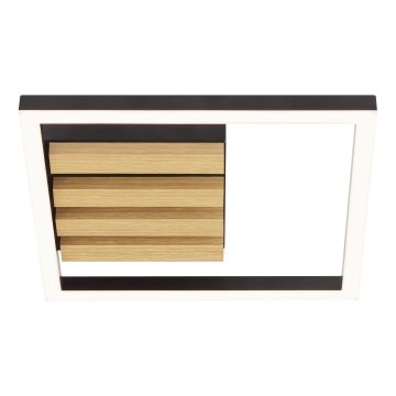 Brilliant - Plafonieră LED dimmabilă CALMA LED/15W/230V neagră