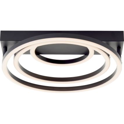 Brilliant - Plafonieră LED dimmabilă PEDLEY LED/36W/230V, neagră