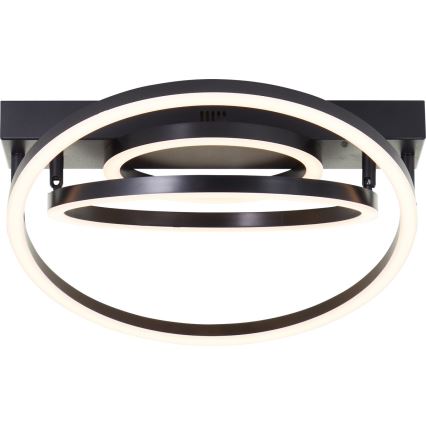 Brilliant - Plafonieră LED dimmabilă PEDLEY LED/36W/230V, neagră