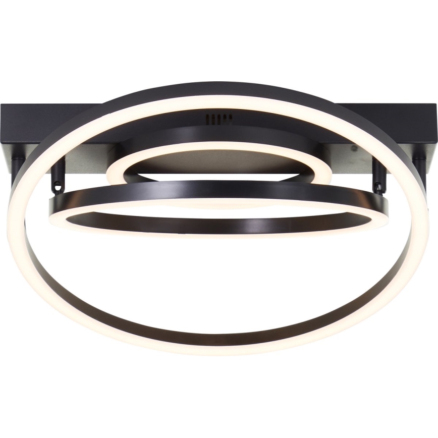 Brilliant - Plafonieră LED dimmabilă PEDLEY LED/36W/230V, neagră