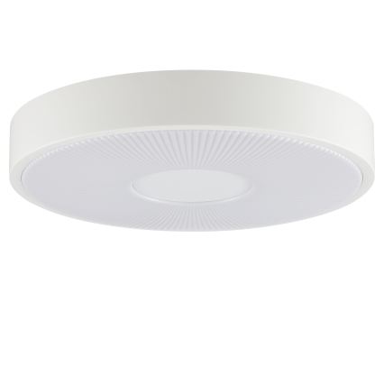 Brilliant - Plafonieră LED RAKIN LED/18W/230V Ø 33,5 cm albă