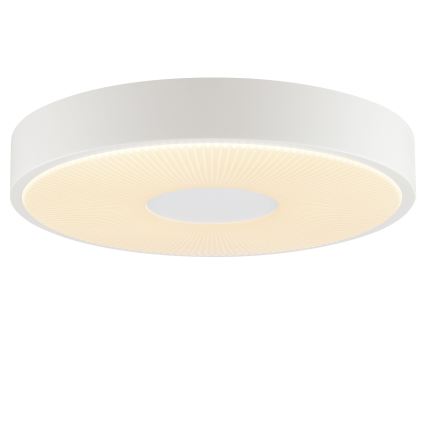 Brilliant - Plafonieră LED RAKIN LED/18W/230V Ø 33,5 cm albă