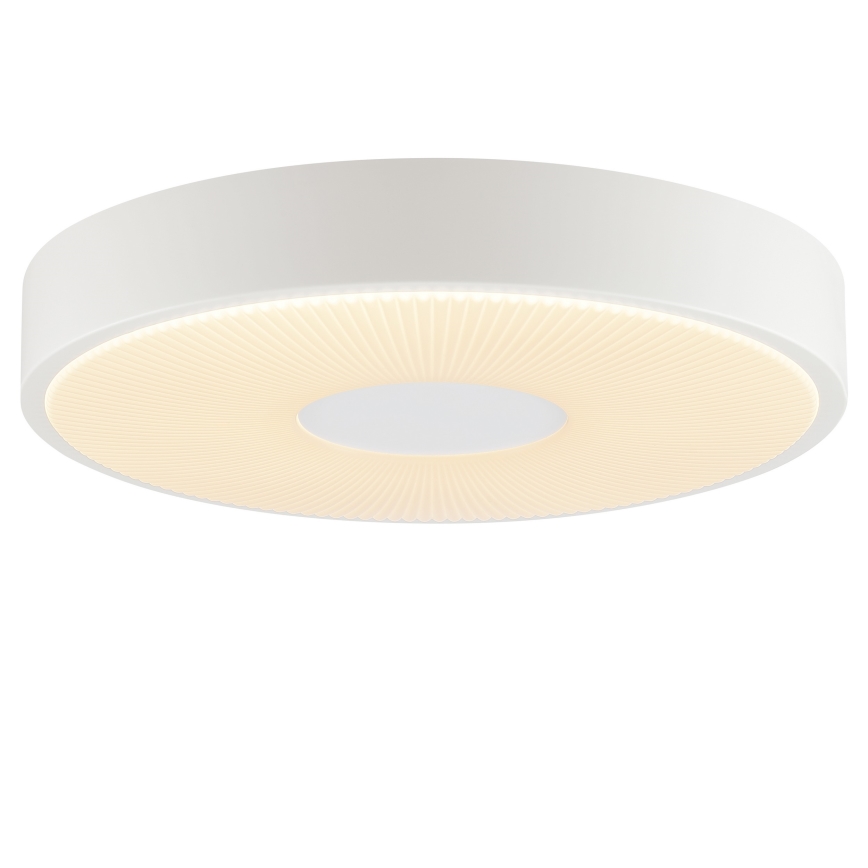 Brilliant - Plafonieră LED RAKIN LED/18W/230V Ø 33,5 cm albă