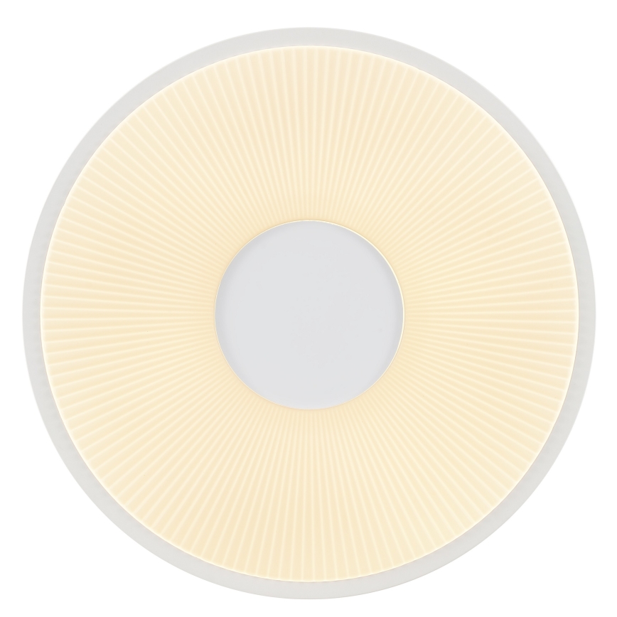 Brilliant - Plafonieră LED RAKIN LED/18W/230V Ø 33,5 cm albă