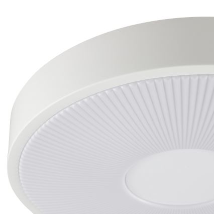 Brilliant - Plafonieră LED RAKIN LED/18W/230V Ø 33,5 cm albă