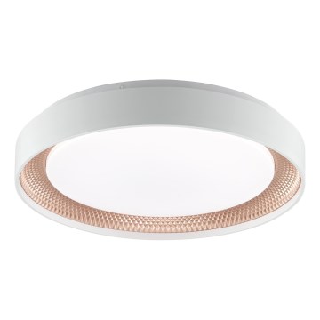 Brilliant - Plafonieră LED reglabilă WALDO LED/24W/230V 3000-6500K Ø 38,5 cm alb/aur roz + telecomandă