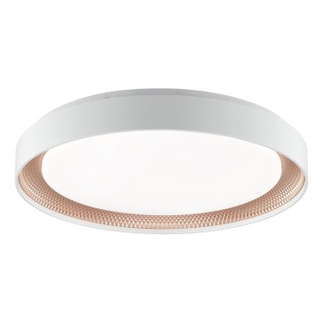 Brilliant - Plafonieră LED reglabilă WALDO LED/36W/230V 3000-6500K Ø 48,5 cm albă/aur roz + telecomandă