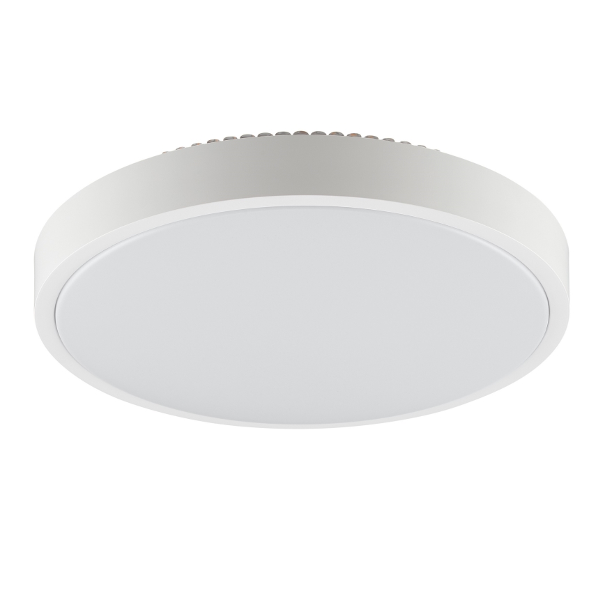 Brilliant - Plafonieră LED SOLISTRA LED/24W/230V Ø 44,5 cm, albă