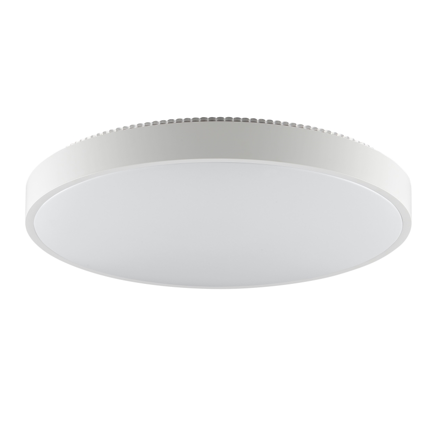 Brilliant - Plafonieră LED SOLISTRA LED/36W/230V, Ø 54 cm, albă