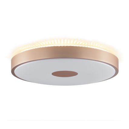 Brilliant - Plafonieră LED TAVIS LED/24W/230V diam. 44,5 cm aur roz