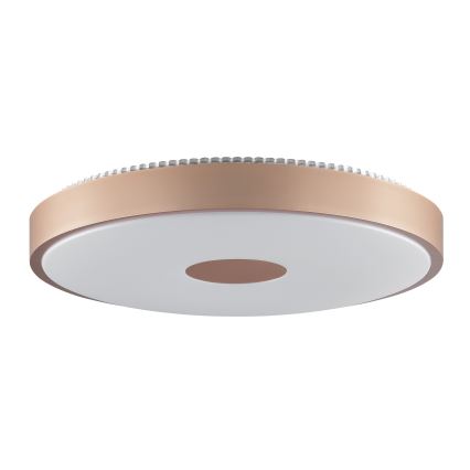 Brilliant - Plafonieră LED TAVIS LED/24W/230V diam. 44,5 cm aur roz