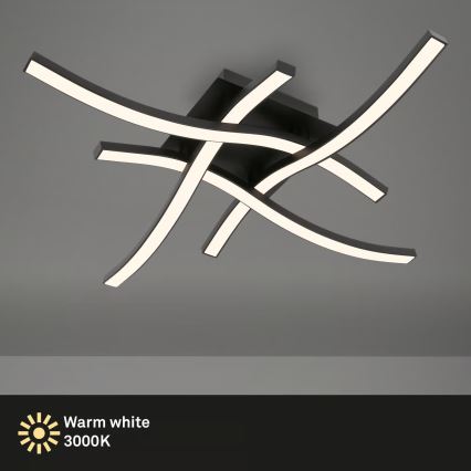 Brilo 3677-045 - Plafonieră LED, 14,4 W, 230 V, neagră