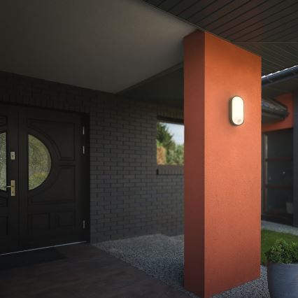 Brilo RUCH - Aplică de perete LED pentru exterior cu senzor de mișcare și senzor crepuscular LED/12W/230V IP65, neagră