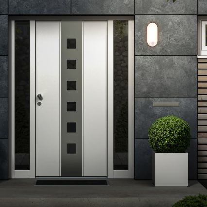 Brilo RUCH - Aplică de perete LED pentru exterior cu senzor de mișcare și senzor crepuscular LED/12W/230V IP65, neagră