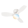 Brilo - Ventilator de tavan LED dimabil PAN LED/15W/230V 3000-6500K alb + telecomandă
