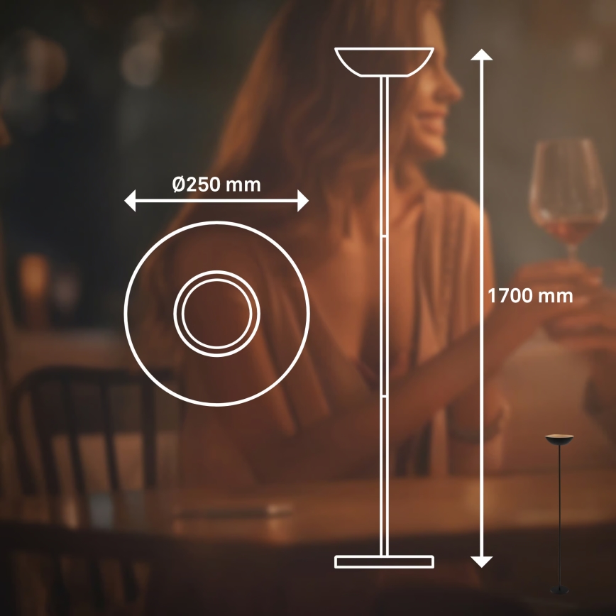 Briloner 1500015 - Lampadar LED reglabil ESTATE LED/8W/5V 4000 mAh negru