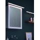 Briloner 2060-018 - Iluminat oglindă baie LED SPLASH LED/10W/230V IP23