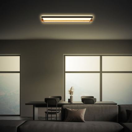 Briloner 3846015 - Plafonieră LED REMSA LED/22W/230V 3000K 60,5x20 cm negru