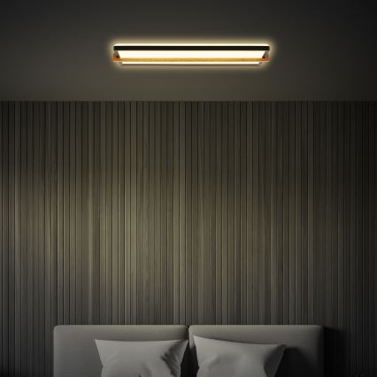 Briloner 3846015 - Plafonieră LED REMSA LED/22W/230V 3000K 60,5x20 cm negru