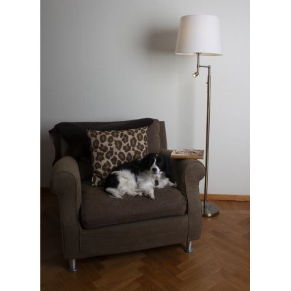 ByRydens - Lampă de podea LED ORLANDO 1xE27/5W/230V + LED/3W alb/bron pr. 36 cm