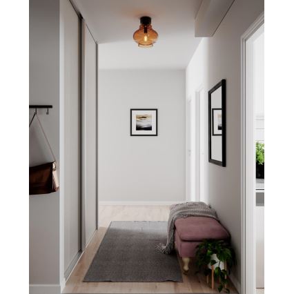ByRydens - Plafonieră DOLORES 1xE27/5W/230V Ø 30 cm maro/fumuriu