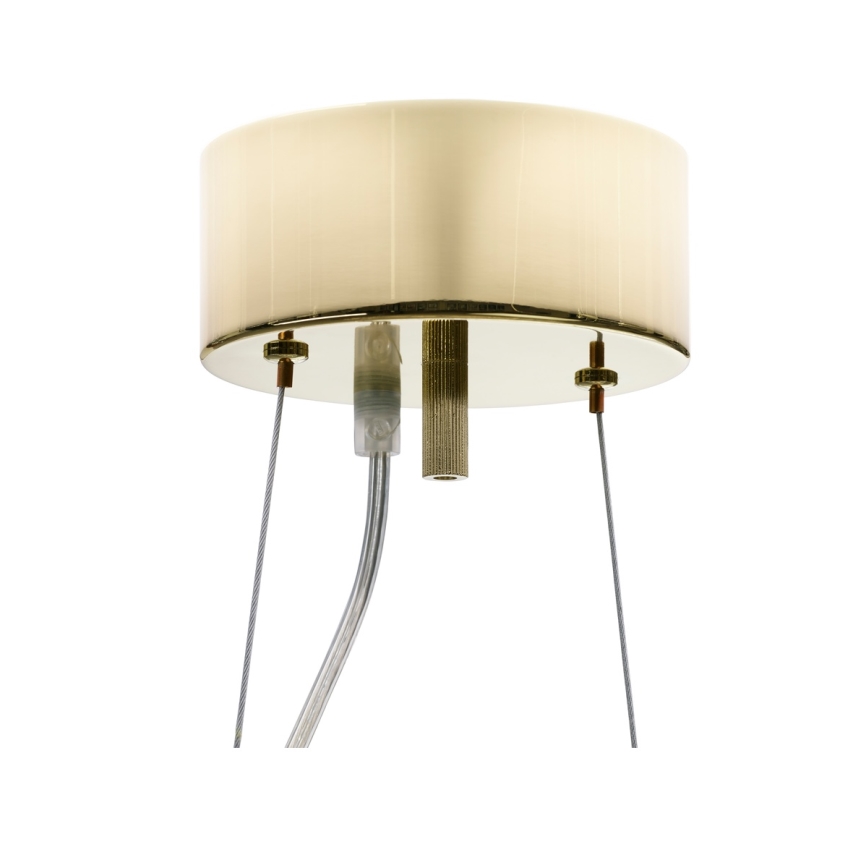 ByRydens - Lustră LORRAINE pe cablu 3xE14/8W/230V