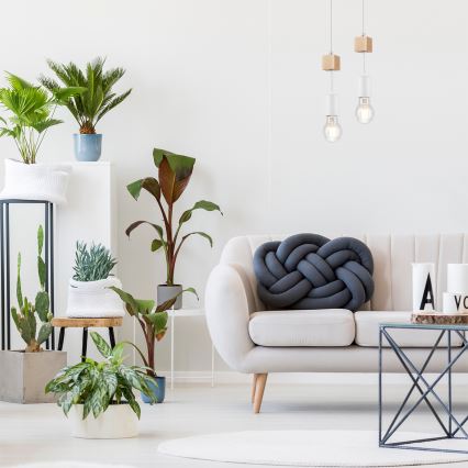 Candelabru suspendat pe cablu ORAZIO 1xE27/60W/230V fag